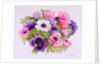 Anemones, 2001 by Joan Thewsey