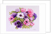 Anemones, 2001 by Joan Thewsey