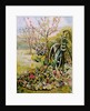 The Garden Pump,2010,watercolour by Joan Thewsey