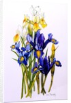 Three Purple and Two Yellow Iris with Buds, 2010 by Joan Thewsey