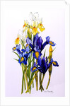 Three Purple and Two Yellow Iris with Buds, 2010 by Joan Thewsey