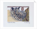 Custard the Kitten, 2005 by Joan Thewsey