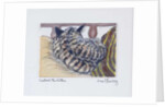 Custard the Kitten, 2005 by Joan Thewsey