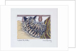 Custard the Kitten, 2005 by Joan Thewsey