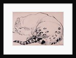 Sketch,Leopard,London Zoo, 2005 by Joan Thewsey