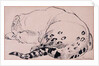 Sketch,Leopard,London Zoo, 2005 by Joan Thewsey