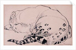 Sketch,Leopard,London Zoo, 2005 by Joan Thewsey