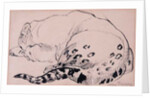 Sketch,Leopard,London Zoo, 2005 by Joan Thewsey