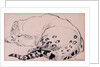 Sketch,Leopard,London Zoo, 2005 by Joan Thewsey