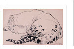 Sketch,Leopard,London Zoo, 2005 by Joan Thewsey
