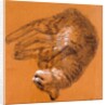 Sleeping Tabby Cat, 2005 by Joan Thewsey
