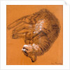Sleeping Tabby Cat, 2005 by Joan Thewsey