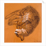 Sleeping Tabby Cat, 2005 by Joan Thewsey