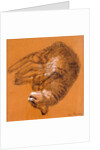 Sleeping Tabby Cat, 2005 by Joan Thewsey