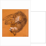 Sleeping Tabby Cat, 2005 by Joan Thewsey