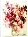 Sweet Peas, 2005 by Joan Thewsey