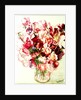 Sweet Peas, 2005 by Joan Thewsey