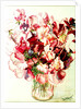 Sweet Peas, 2005 by Joan Thewsey