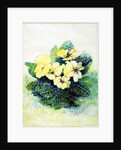 Primrose Pale Yellow, 2005 by Joan Thewsey