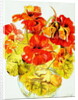 Nasturtiums, 2005 by Joan Thewsey