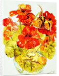 Nasturtiums, 2005 by Joan Thewsey