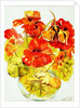 Nasturtiums, 2005 by Joan Thewsey