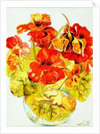 Nasturtiums, 2005 by Joan Thewsey