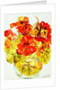 Nasturtiums, 2005 by Joan Thewsey