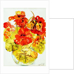 Nasturtiums, 2005 by Joan Thewsey