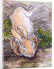 Holly, the Giant Continental Rabbit, 2002 by Joan Thewsey