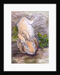 Holly, the Giant Continental Rabbit, 2002 by Joan Thewsey