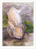 Holly, the Giant Continental Rabbit, 2002 by Joan Thewsey