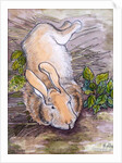 Holly, the Giant Continental Rabbit, 2002 by Joan Thewsey