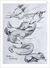 Bracken, the whippet, 2000 by Joan Thewsey