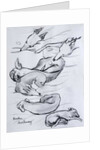 Bracken, the whippet, 2000 by Joan Thewsey