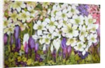 Spring Border: Hellebores, Crocus and Violets, 2000 by Joan Thewsey