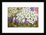 Spring Border: Hellebores, Crocus and Violets, 2000 by Joan Thewsey