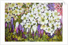 Spring Border: Hellebores, Crocus and Violets, 2000 by Joan Thewsey