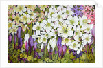Spring Border: Hellebores, Crocus and Violets, 2000 by Joan Thewsey