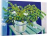 Christmas Cactus, 2000 by Joan Thewsey