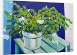 Christmas Cactus, 2000 by Joan Thewsey