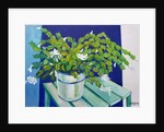 Christmas Cactus, 2000 by Joan Thewsey