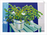 Christmas Cactus, 2000 by Joan Thewsey