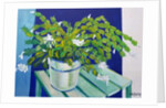 Christmas Cactus, 2000 by Joan Thewsey