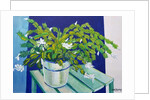Christmas Cactus, 2000 by Joan Thewsey
