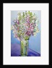 Foxgloves and Campanulas, 2005 by Joan Thewsey