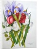 Irises and Roses, 2007 by Joan Thewsey