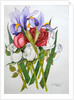 Irises and Roses, 2007 by Joan Thewsey
