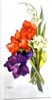 Gladioli, 2011 by Joan Thewsey