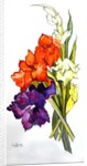 Gladioli, 2011 by Joan Thewsey